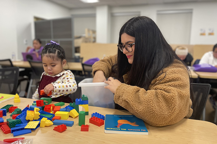 A woman and child playing with blocks